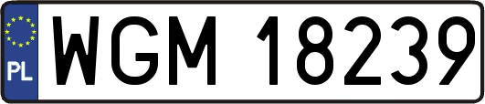 WGM18239