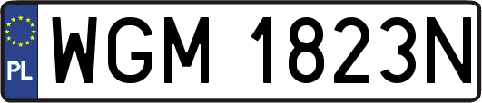 WGM1823N
