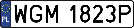 WGM1823P