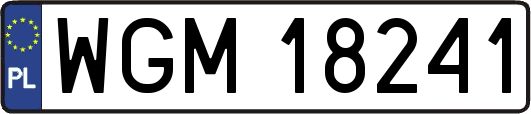 WGM18241