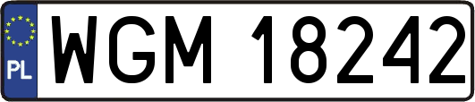 WGM18242