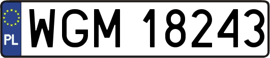 WGM18243