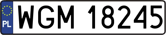 WGM18245