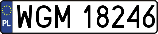 WGM18246