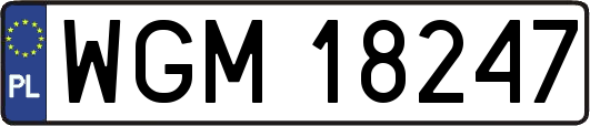 WGM18247