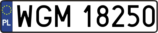 WGM18250