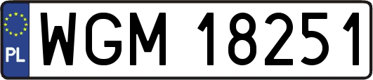 WGM18251