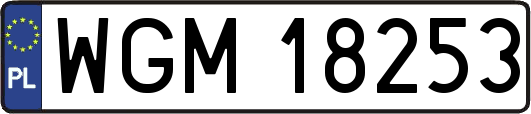 WGM18253