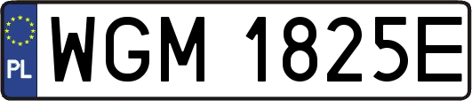 WGM1825E