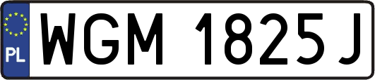 WGM1825J