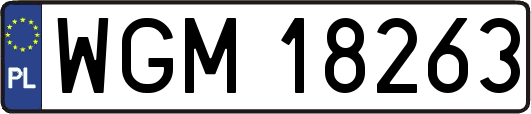WGM18263
