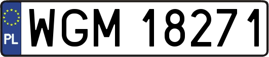 WGM18271