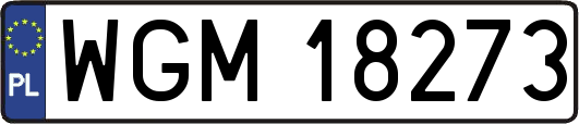 WGM18273