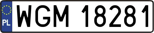 WGM18281