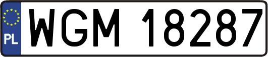 WGM18287