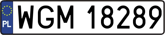 WGM18289