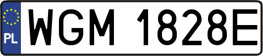 WGM1828E