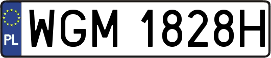 WGM1828H