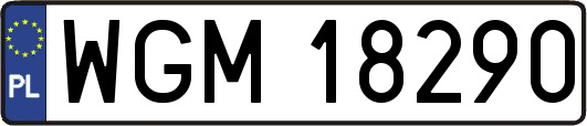 WGM18290