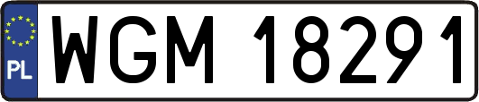 WGM18291