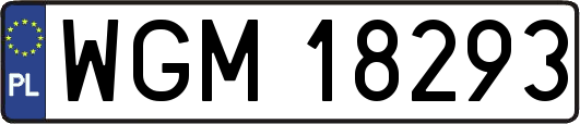 WGM18293