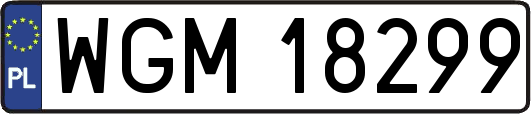 WGM18299