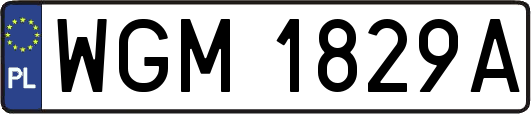 WGM1829A