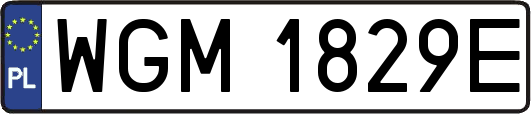 WGM1829E