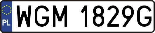 WGM1829G