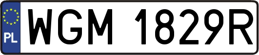 WGM1829R