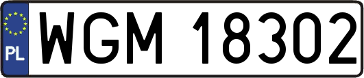 WGM18302