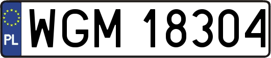 WGM18304