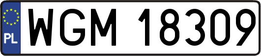 WGM18309