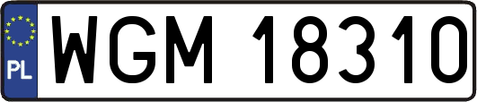 WGM18310