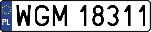 WGM18311