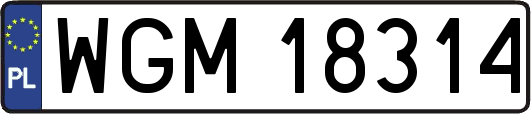 WGM18314