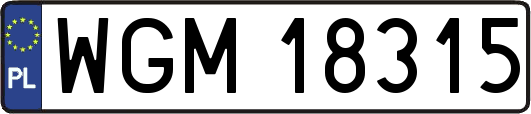 WGM18315