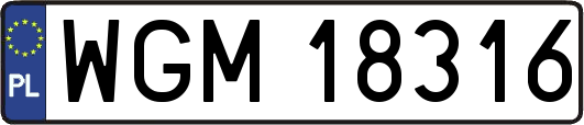 WGM18316