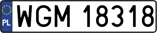 WGM18318