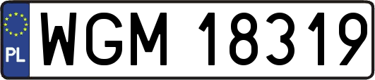 WGM18319