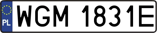 WGM1831E