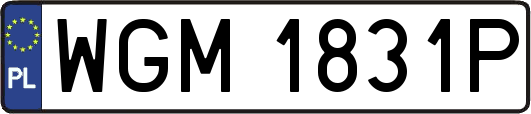 WGM1831P