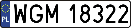 WGM18322