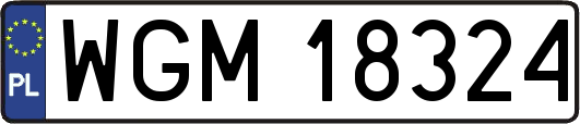 WGM18324