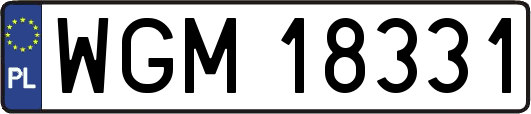 WGM18331