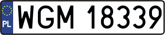 WGM18339