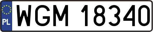 WGM18340