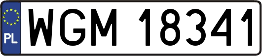 WGM18341