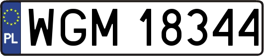 WGM18344