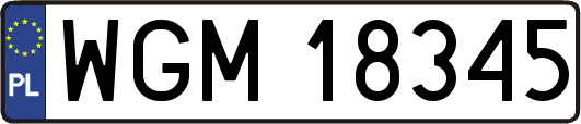 WGM18345